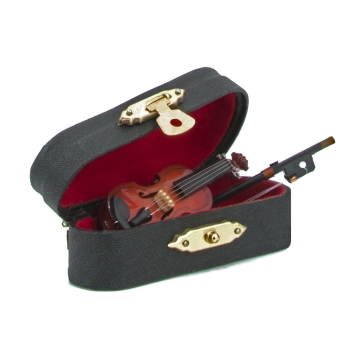Violin with violin case