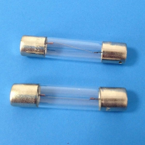 Fuses, 2 A, for # 22120